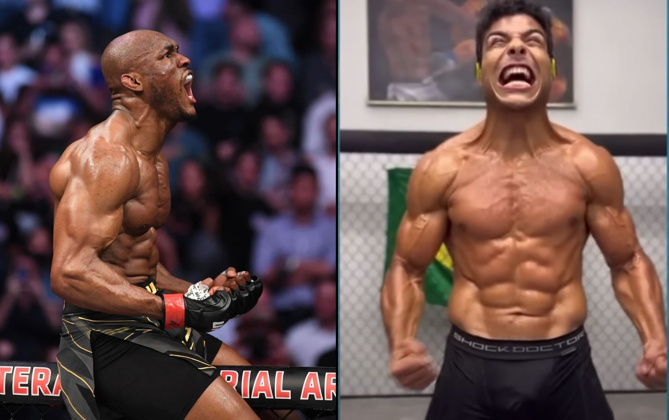MMA Fighters that are definitely taking steroids and lots of it! 